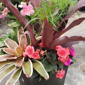 Meet your Posher, Deanna